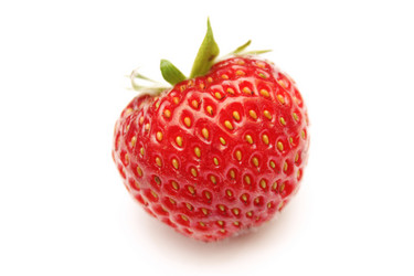 Similar image 1680089