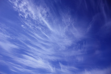 Similar image 1680140