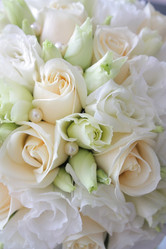 Similar image 1680210