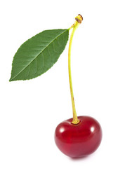 Similar image 1680267