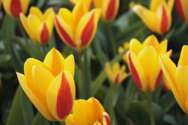 Similar image 1680311