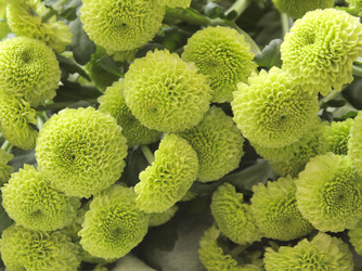 Similar image 1680400