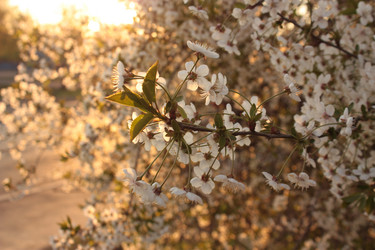 Similar image 1680401