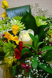 Similar image 1680644