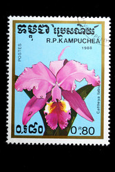 Similar image 1680646