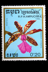 Similar image 1680648