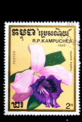 Similar image 1680650