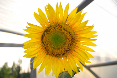 Similar image 1680657