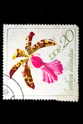 Similar image 1680672