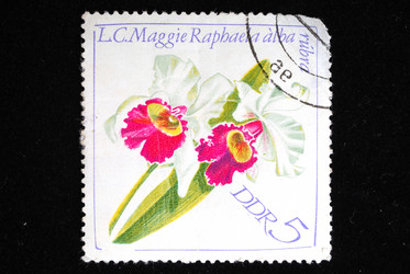 Similar image 1680673