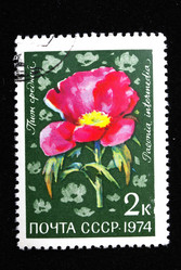 Similar image 1680674