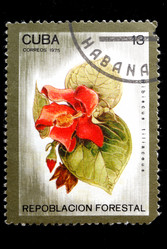 Similar image 1680675