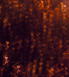 Similar image 1680937