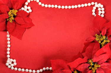 Similar image 1682147