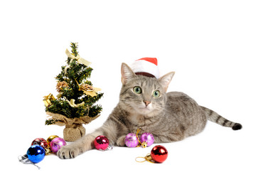 Similar image 1682149