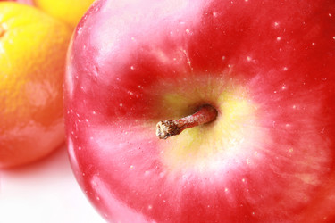 Similar image 1682234