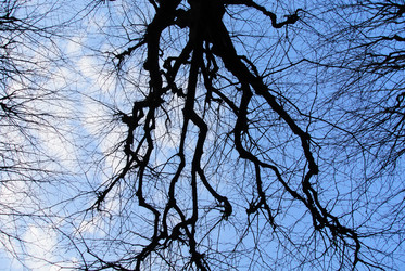 Similar image 1682274