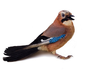 Similar image 1682276