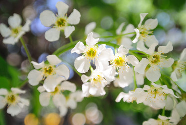 Similar image 1682277