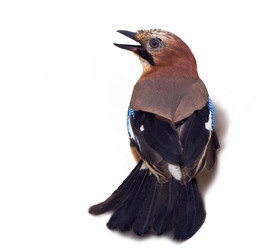 Similar image 1682279