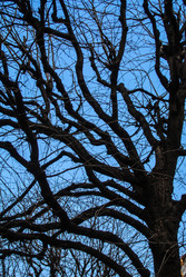 Similar image 1682278