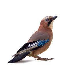 Similar image 1682280