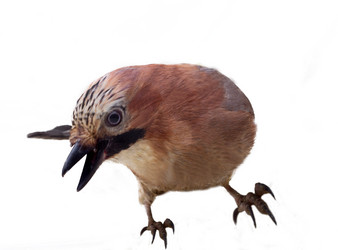 Similar image 1682288