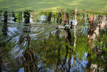 Similar image 1682289