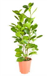 Similar image 1682294