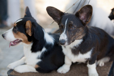 Similar image 1682323