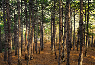 Similar image 1682331