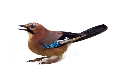 Similar image 1682334