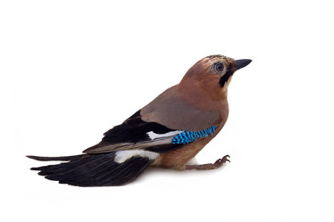 Similar image 1682335