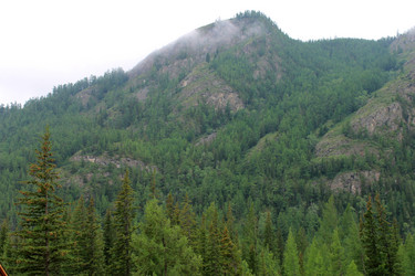 Similar image 1682353