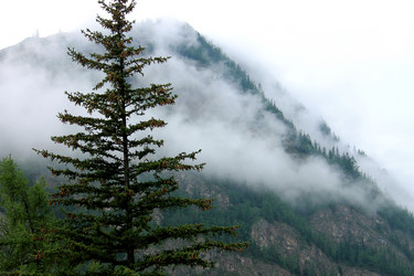 Similar image 1682354