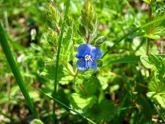 Similar image 1682399