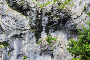 Similar image 1682405