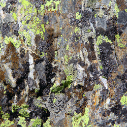 Similar image 1682407