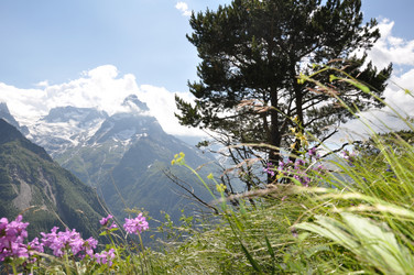 Similar image 1682490