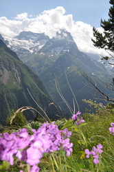 Similar image 1682491