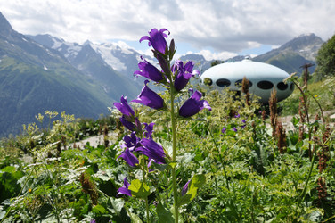 Similar image 1682495