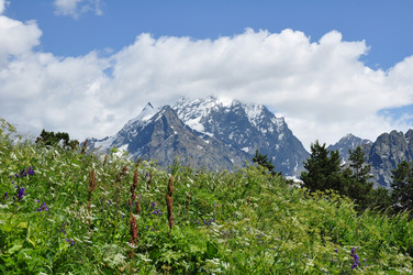 Similar image 1682496