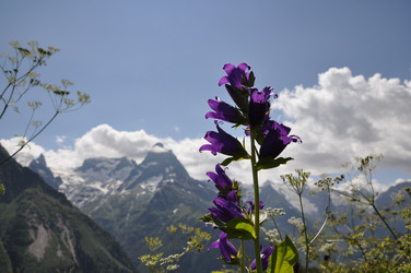 Similar image 1682498