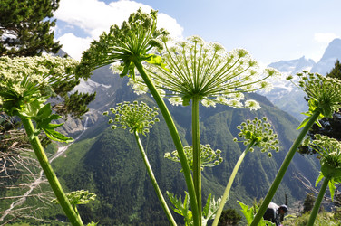 Similar image 1682501