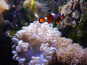 Similar image 1682522