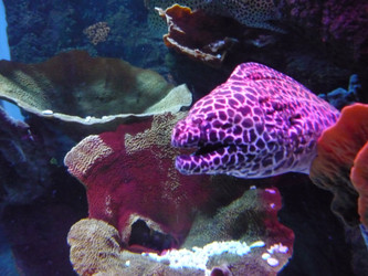 Similar image 1682530