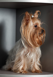 Similar image 1682622