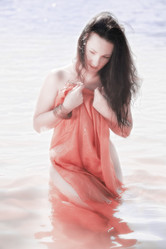 Similar image 1682635