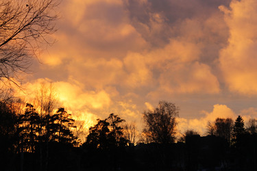 Similar image 1682691