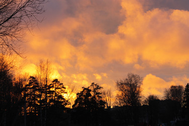 Similar image 1682692